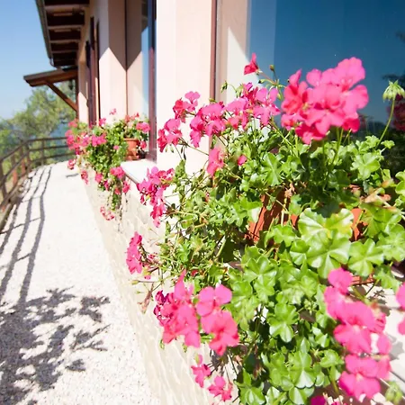 Inviting In Appenines With Covered Swimming Pool Apecchio