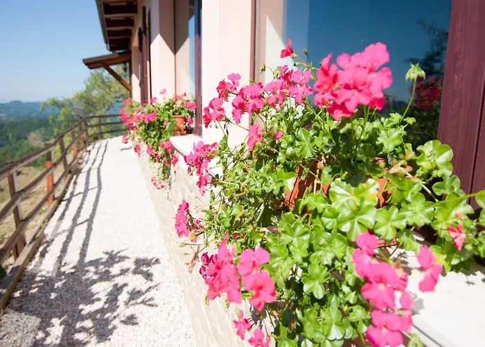 Inviting In Appenines With Covered Swimming Pool Apecchio
